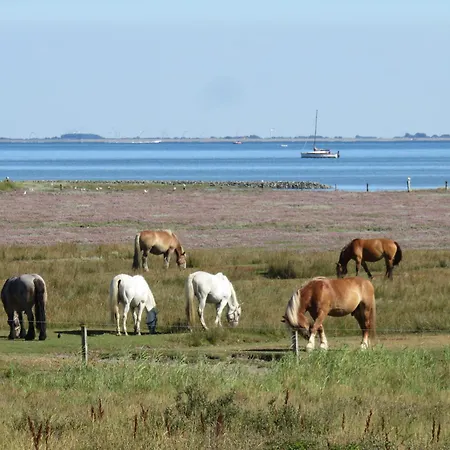 아파트 Haus Ferienglueck 178 - Greta