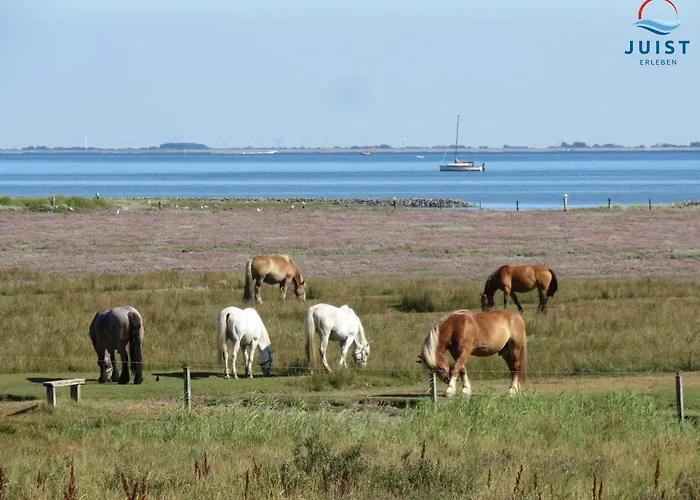 Appartamento Haus Ferienglueck 178 - Greta